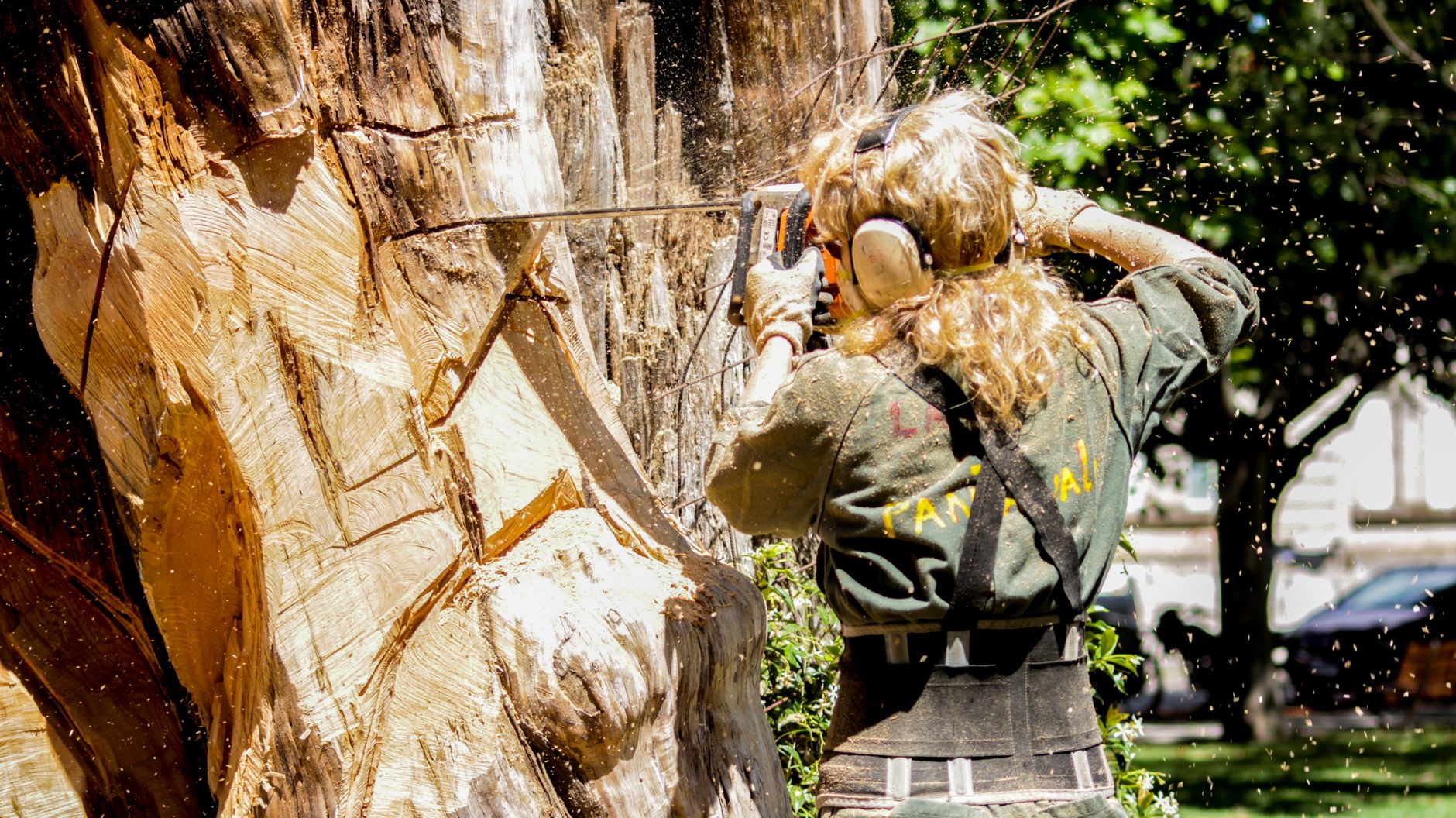 An arborist safely rigging a large oak limb for removal in a Reisterstown backyard.