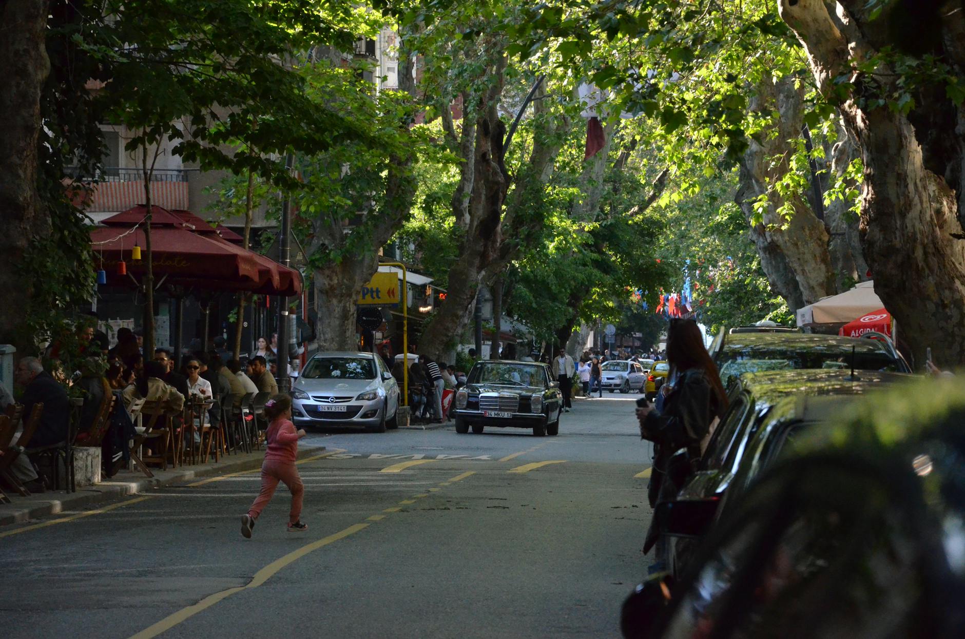 A scenic view of a tree-lined residential street in the historic Sudbrook Park neighborhood of Pikesville, Maryland.