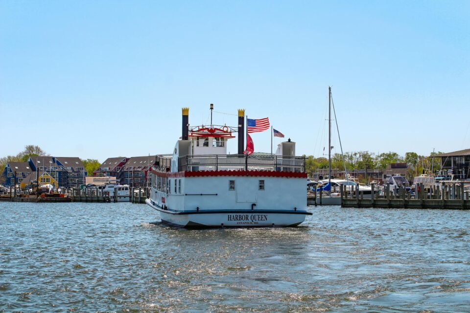 Hero Tree Removal in Annapolis