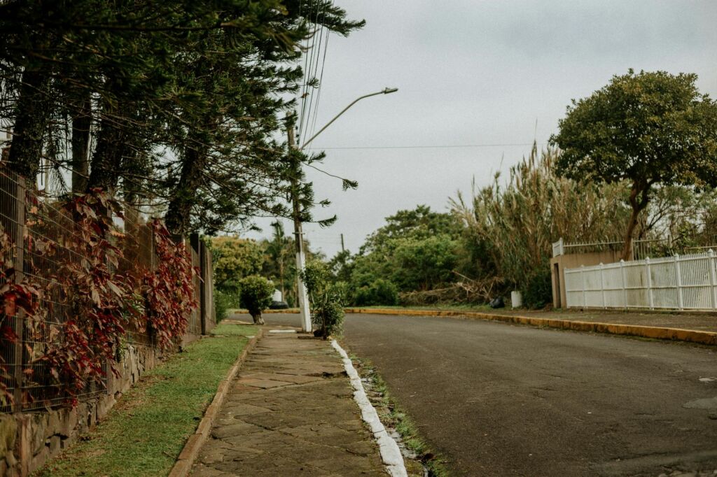 Intro Tree Removal in Bel Air