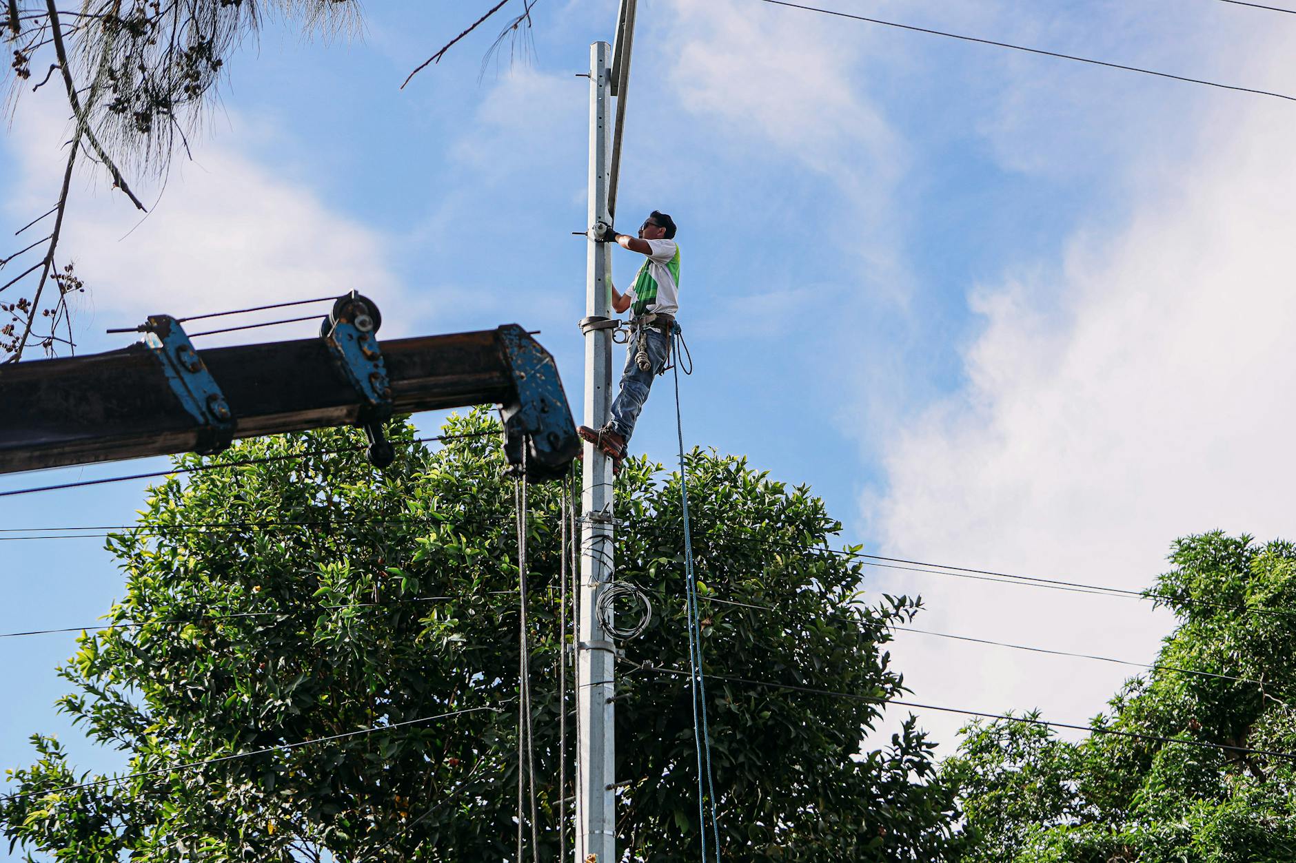 A professional tree service truck and crew safely removing a large dead tree near a residential home.